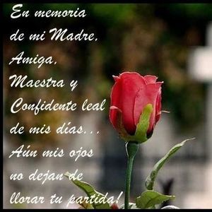 Meet your Posher, Ayde